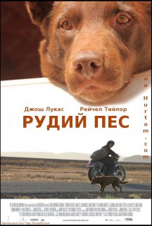 Рудий пес постер
