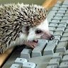 Sir_Hedgehog