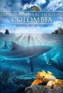 Всесвітня природна спадщина. Колумбія: Природний заповідник Малпело постер