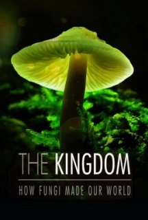Королівство. Як гриби створили наш світ постер