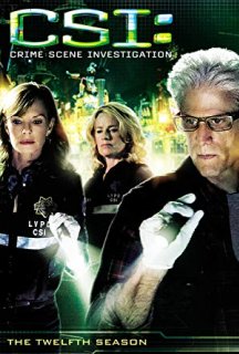 CSІ: Лас-Вегас / CSI: Місце злочину 12 сезон постер