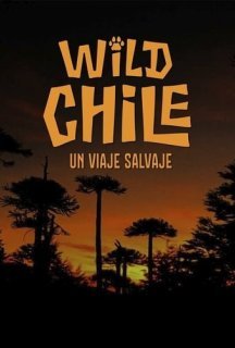 Дика природа Чилі 1 сезон постер