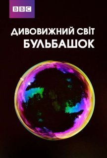 Дивовижний світ бульбашок постер