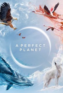 Досконала планета / Ідеальна планета 1 сезон постер