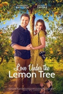 Кохання під лимонним деревом постер