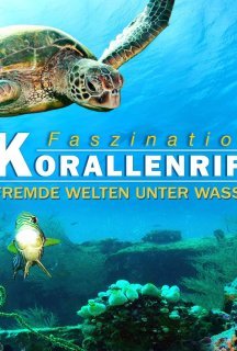 Кораловий риф: дивовижні підводні світи постер
