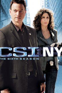 CSI: Місце злочину - Нью-Йорк 6 сезон постер
