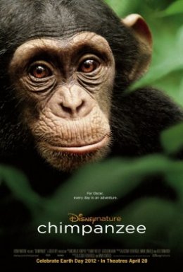 постер до фільму Шимпанзе дивитися онлайн
