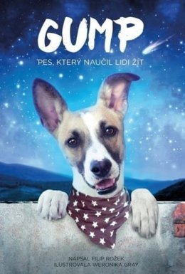 постер до фільму Ґамп: пес, який навчив людей жити дивитися онлайн
