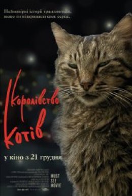постер до фільму Королівство котів дивитися онлайн