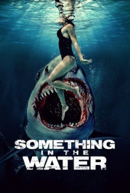 постер до фільму Щось у воді дивитися онлайн