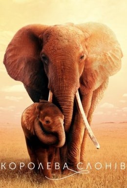 постер до фільму Королева слонів дивитися онлайн