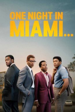 постер до фільму Одна ніч у Маямі... дивитися онлайн