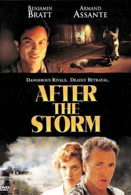 постер до фільму Після шторму дивитися онлайн