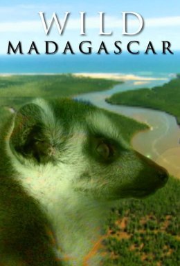 постер до фільму Дикий Мадагаскар дивитися онлайн