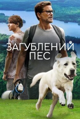 постер до фільму Загублений пес дивитися онлайн