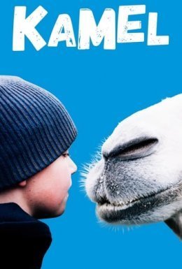 постер до фільму Арктичні верблюди дивитися онлайн