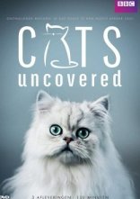 постер Коти без прикриття онлайн в HD