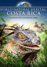 Дивитися на uakino Всесвітня природна спадщина. Коста-Ріка. Національний парк Гуанакасте онлайн в hd 720p