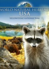постер Всесвітня природна спадщина. США: Єллоустоунський національний парк онлайн в HD