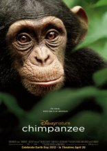Дивитися на uakino Шимпанзе онлайн в hd 720p