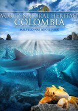 Дивитися на uakino Всесвітня природна спадщина. Колумбія: Природний заповідник Малпело онлайн в hd 720p
