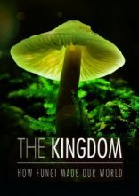 постер Королівство. Як гриби створили наш світ онлайн в HD