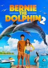 постер Дельфін Берні 2 онлайн в HD