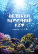постер Великий бар'єрний риф з Девідом Аттенборо онлайн в HD