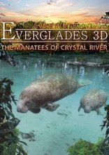 постер Еверглейдс: Ламантини Кришталевої річки онлайн в HD