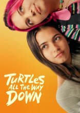 постер Черепахи аж до низу онлайн в HD