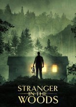 постер Незнайомець у лісі онлайн в HD