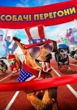 постер Собачі перегони онлайн в HD