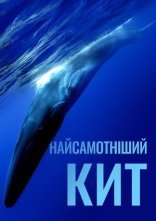постер Найсамотніший кит онлайн в HD