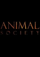 Дивитися на uakino Спільноти тварин онлайн в hd 720p