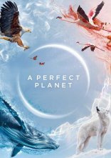 постер Досконала планета / Ідеальна планета онлайн в HD