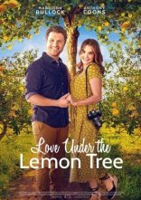 постер Кохання під лимонним деревом онлайн в HD