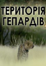 постер Територія гепардів онлайн в HD