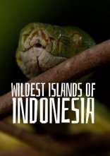 постер Дуже дика Індонезія онлайн в HD