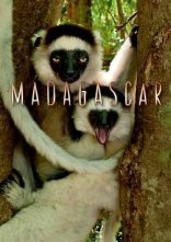 постер Мадаґаскар / Мадагаскар онлайн в HD