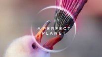 кадри з серіалу Досконала планета / Ідеальна планета