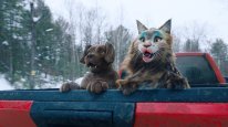кадри з фільму Кіт & Пес: Шалені пригоди