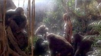 кадри з фільму Грейсток: Легенда про Тарзана, повелителя мавп