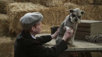 кадри з фільму 12 Різдвяних собак: Чудесний порятунок