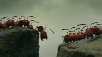 кадри з фільму Комашки: Пригода в Долині Мурах