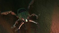 кадри з фільму Біонікл 3: У павутинні тіней