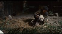 кадри з фільму Слід панди