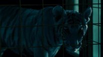 кадри з фільму Синій тигр