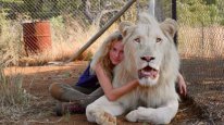 кадри з фільму Пригоди Мії та білого лева