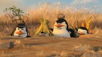 кадри з фільму Пінгвіни Мадагаскару